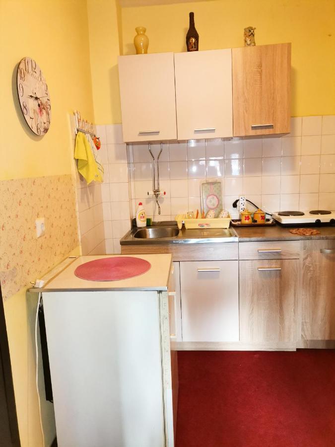 Apartment Andjela Zlatibor Extérieur photo