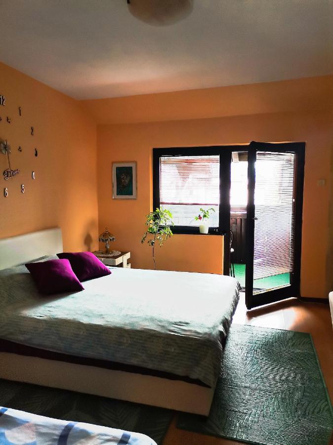 Apartment Andjela Zlatibor Extérieur photo